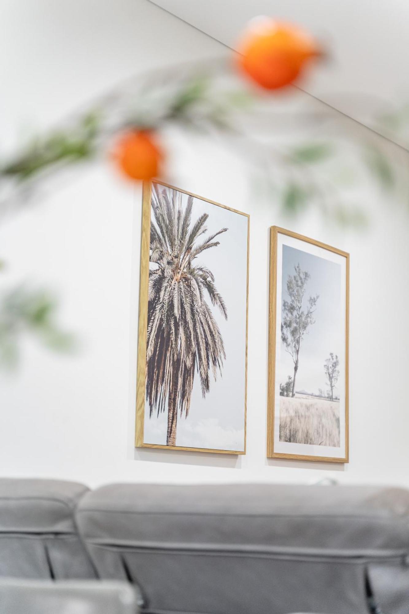 Waterloo 2br Modern Natural Park Apartment Sydney